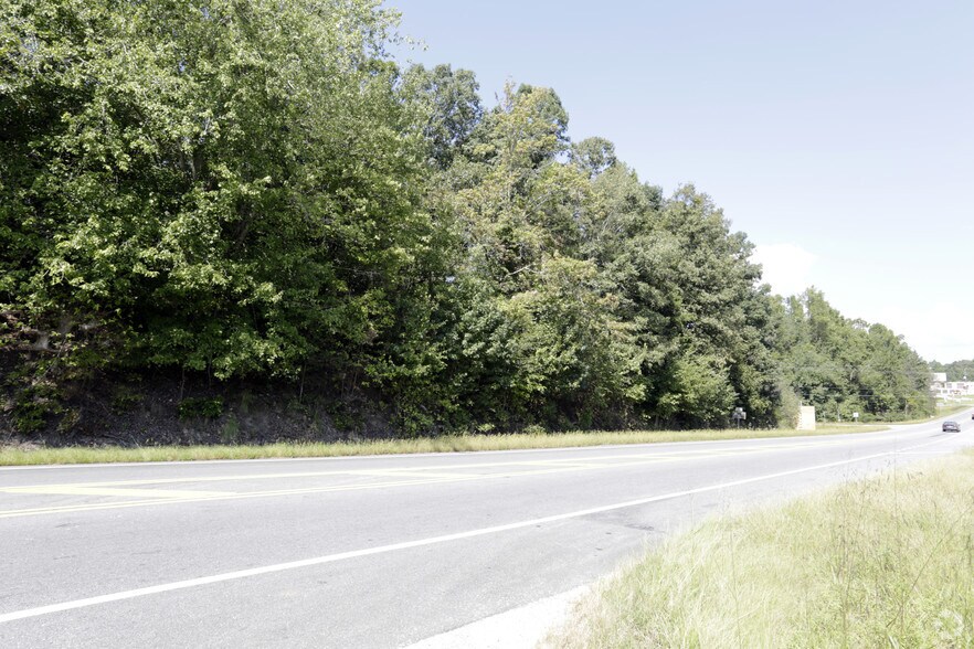 More Photos Of 6850 Old Cleveland Rd, Clermont Land For Sale