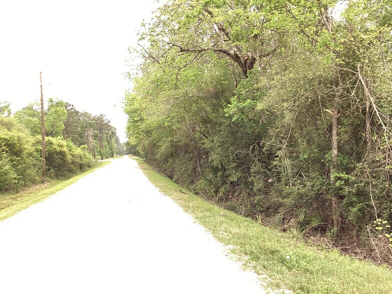 More Photos Of 0 County Road 4876, Dayton Land For Sale