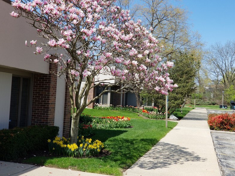 More Photos Of 1117 S Milwaukee Ave, Libertyville Unknown For Lease