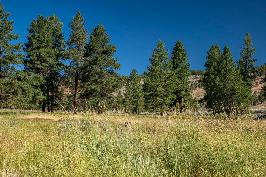 More Photos Of 32611 Tackman Rd, Prineville Land For Sale