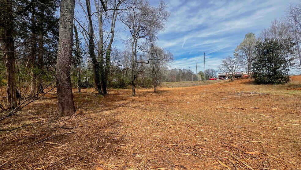 More Photos Of 11211 Chapman Hwy, Seymour Land For Sale