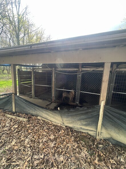 More Photos Of 235 E Western Reserve Rd, Poland Veterinarian Kennel For Sale