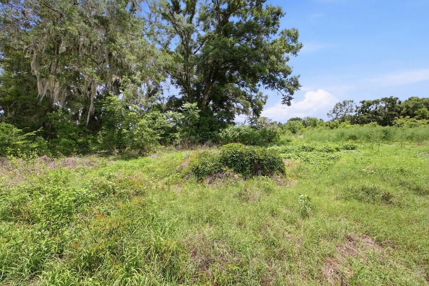More Photos Of 12630 SE US Highway 441, Belleview Land For Sale
