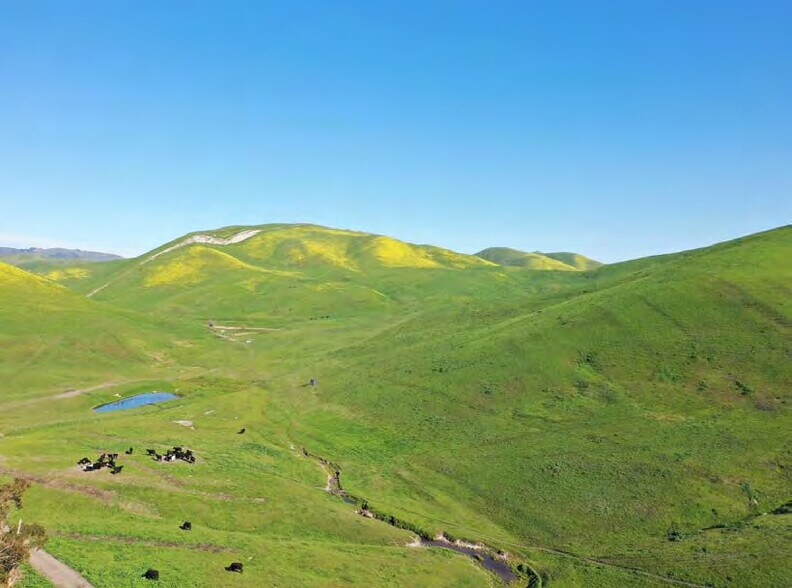 More Photos Of 6401 Camino Tassajara, Pleasanton Land For Sale