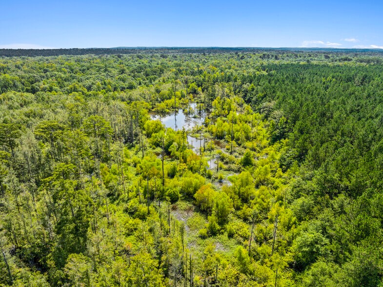 More Photos Of 7471 Highway 155, Saline Land For Sale