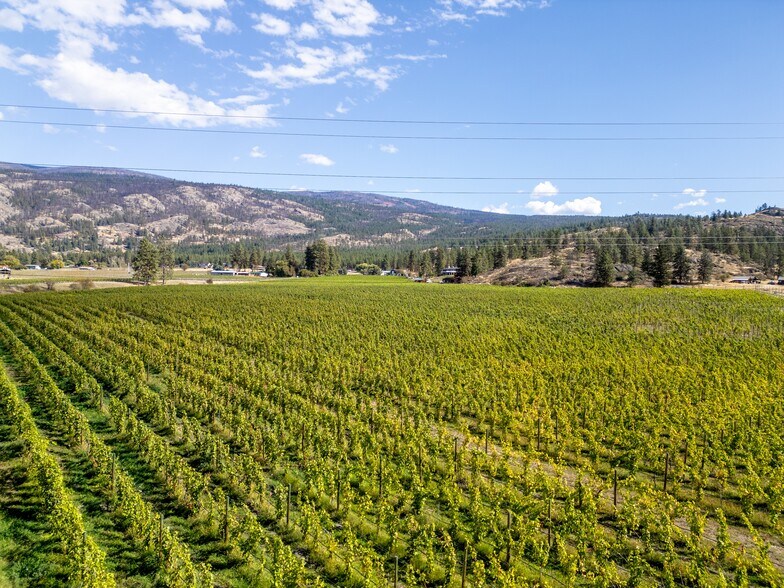 More Photos Of 1580 Chapman Rd, Okanagan Falls Winery Vineyard For Sale