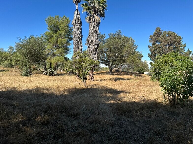 More Photos Of 1528 Olivewood Ln, Alpine Land For Sale