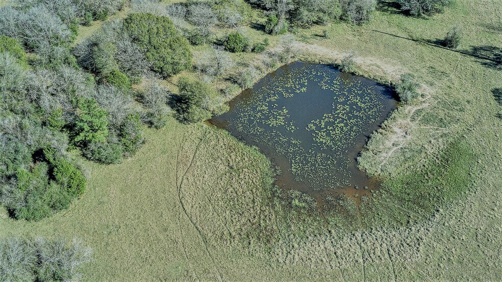 More Photos Of 26266 Fields Store Rd., Waller Land For Sale