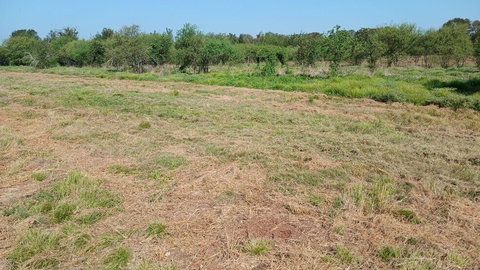 More Photos Of 40485 Mt Zion Rd, Pattison Land For Sale
