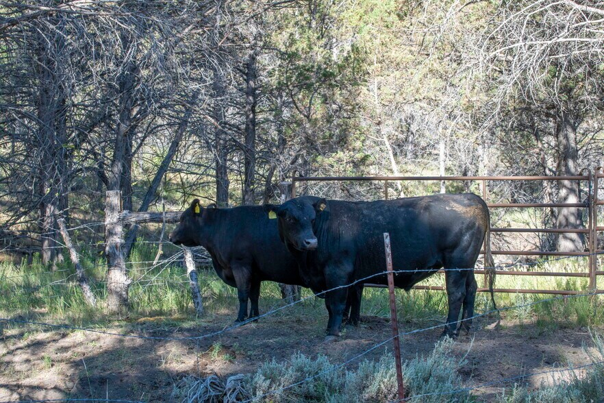 More Photos Of 32611 Tackman Rd, Prineville Land For Sale