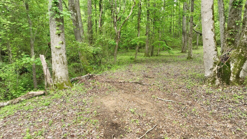 More Photos Of 485 Polk Rd, Moreland Land For Sale