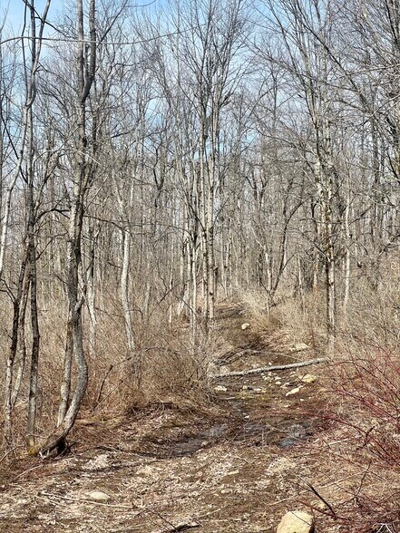 More Photos Of 1601 NY-29, Little Falls Land For Sale