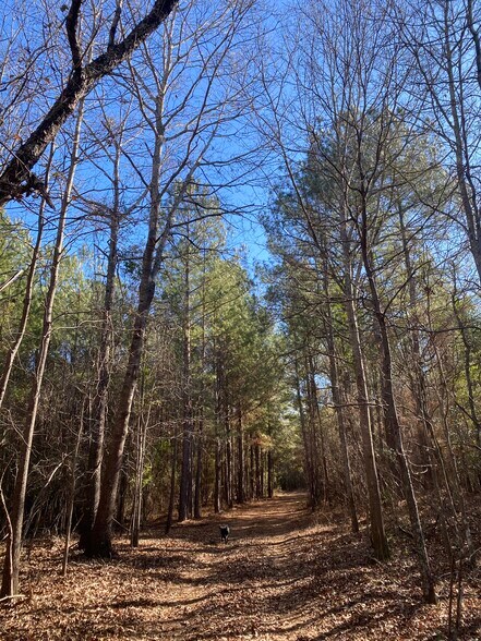 More Photos Of 1021 Ready Pond Rd, Batesburg-Leesville Land For Sale