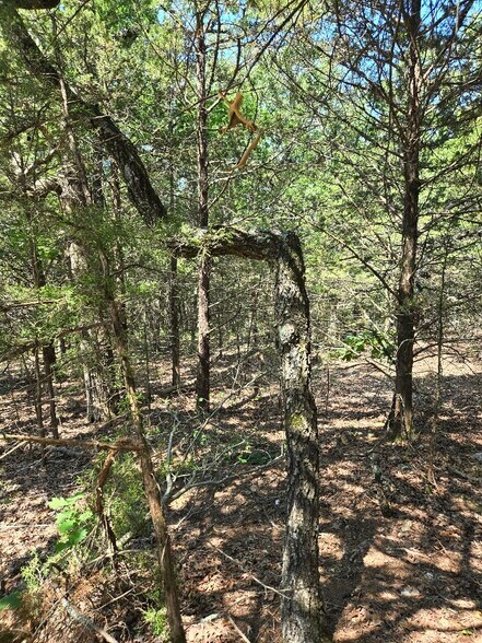 More Photos Of 20765 State Highway 42, Belle Land For Sale