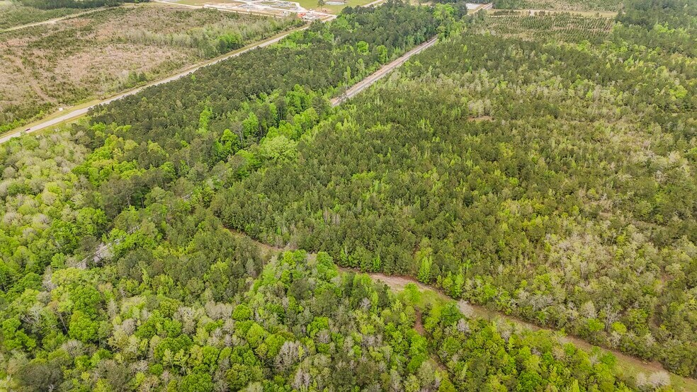More Photos Of 0 US Highway 43 N., Mount Vernon Land For Sale