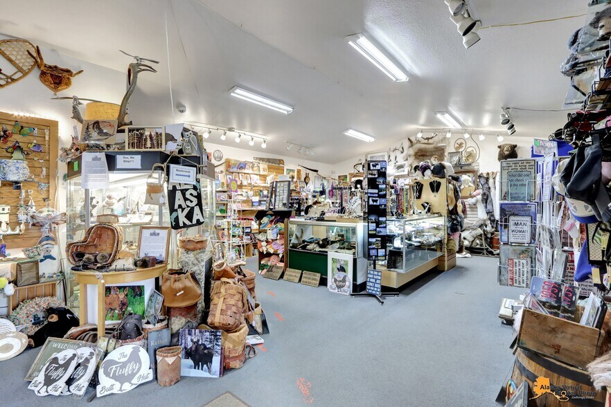 More Photos Of 22336 Talkeetna Spur Rd, Talkeetna Storefront Retail Office For Sale