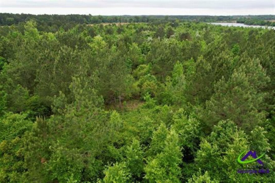More Photos Of Chester Alamo Hwy, Chester Land For Sale