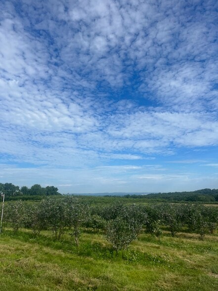 More Photos Of 280-300 Matson Hill Rd, South Glastonbury Land For Sale