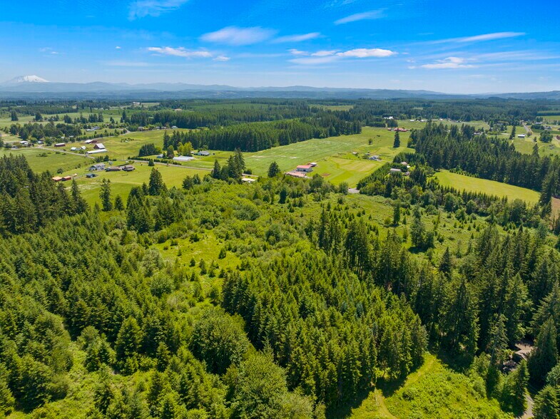 More Photos Of XXX Bay Road, Winlock Land For Sale