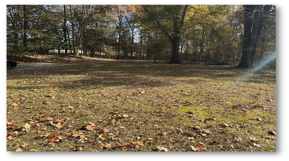 More Photos Of 7520 Macon Rd, Cordova Land For Sale