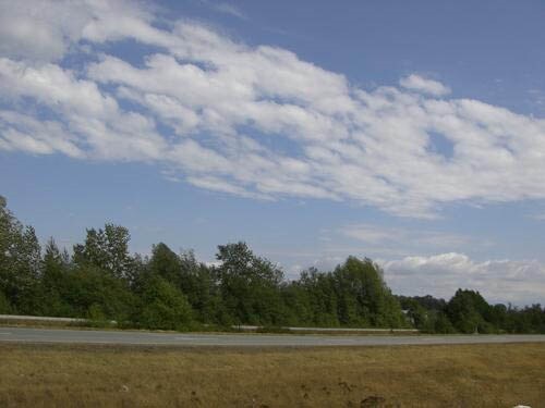 More Photos Of 2184 Buchanan Loop, Ferndale Land For Sale