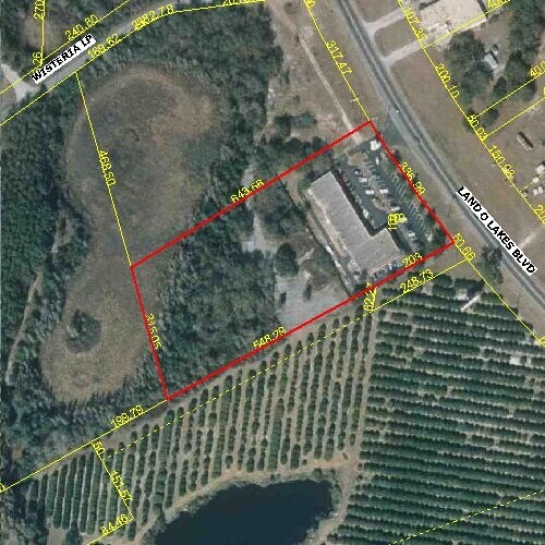 More Photos Of 6735-6765 Land O Lakes Blvd, Land O' Lakes Storefront For Lease