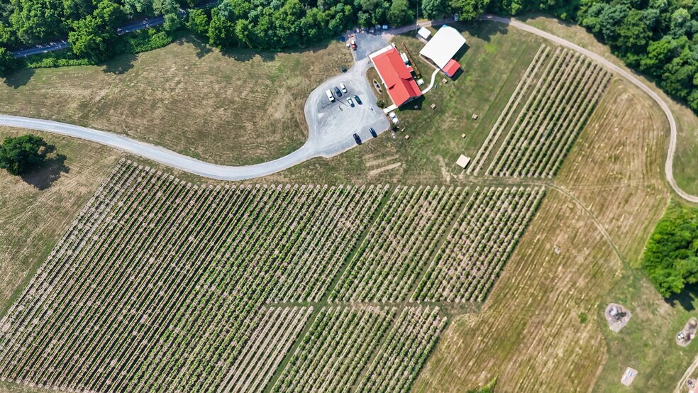 More Photos Of 3 Orchard Rd, Liverpool Winery Vineyard For Sale