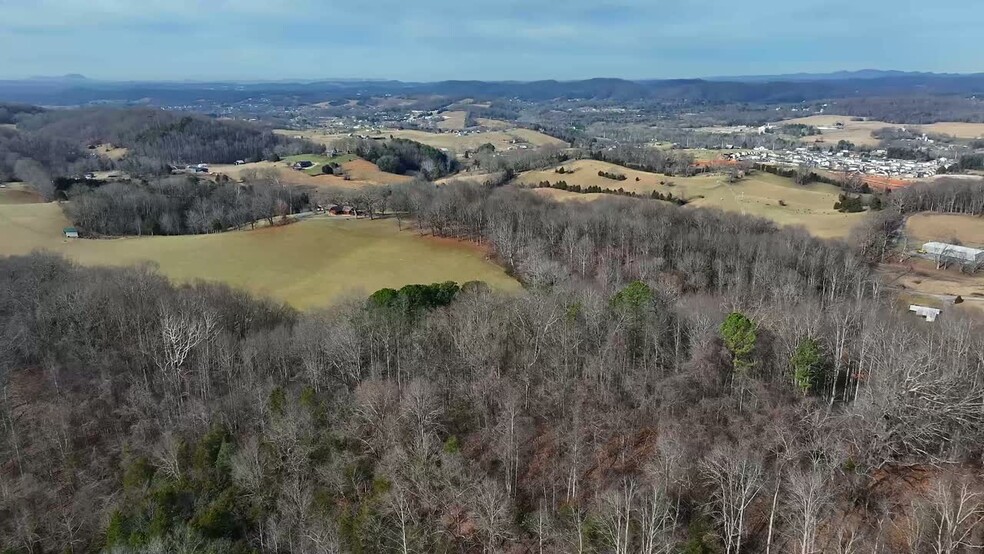 Primary Photo Of TBD Bristol Highway, Bluff City Land For Sale