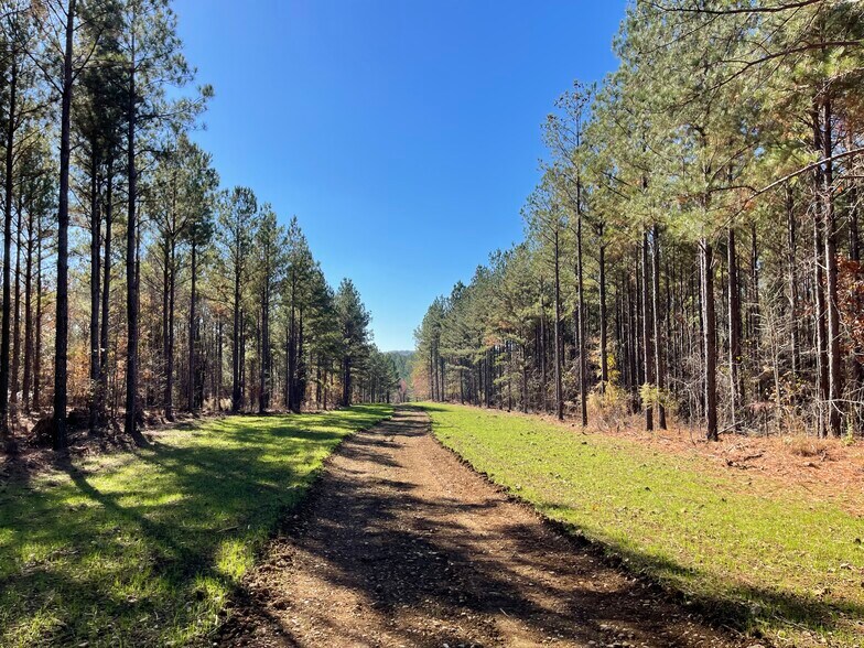 More Photos Of 92 Lillian Strong rd, Carlton Land For Sale