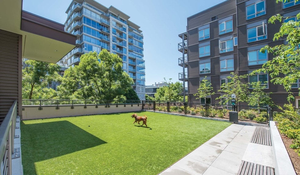 More Photos Of 2900 1st Ave, Seattle Apartments For Lease