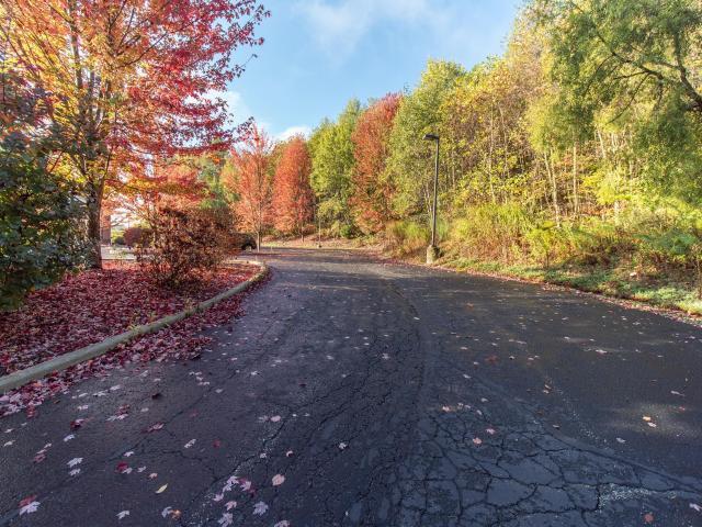 More Photos Of 10 Timberview Ln, Russell Medical For Sale