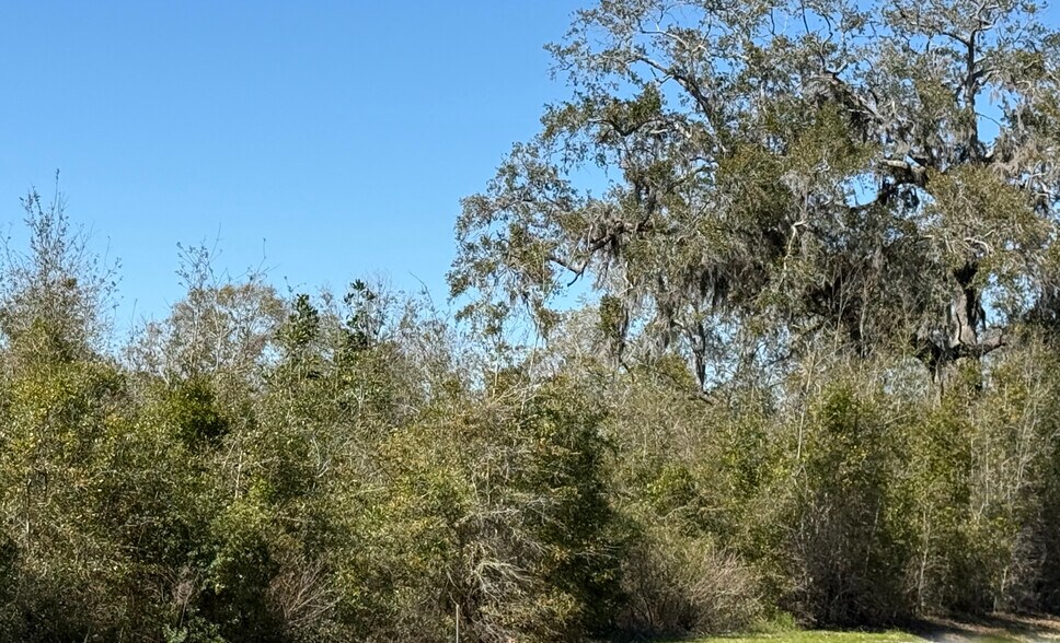 More Photos Of W US Highway 90 Hwy, Lake City Land For Sale