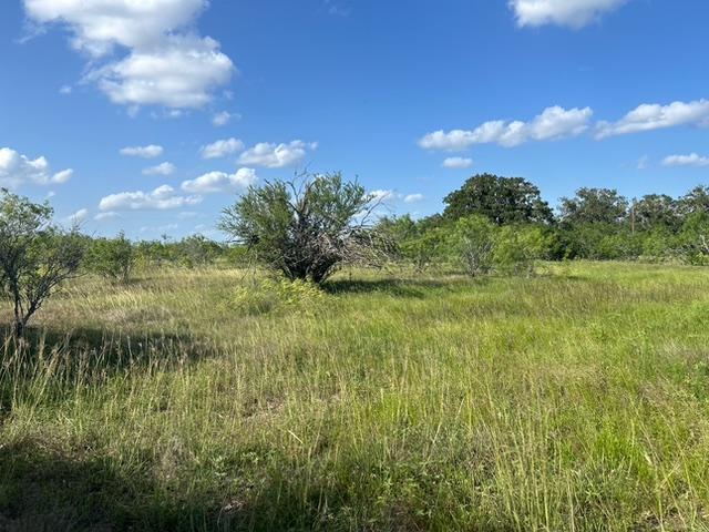 More Photos Of FM 2814, Waelder Land For Sale