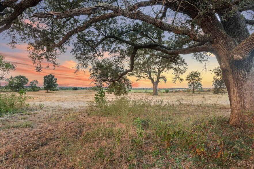 Primary Photo Of 2339 Highway 36, Sealy Land For Sale