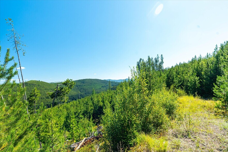 More Photos Of Nhn Logan Creek Road, Kila Land For Sale