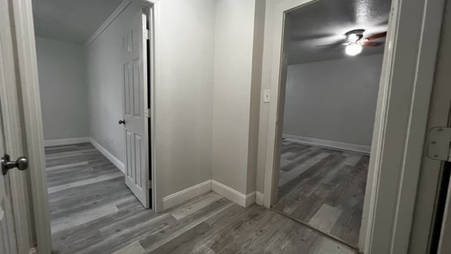 More Photos Of 3845 k-ville avenue, Auburndale Apartments For Sale