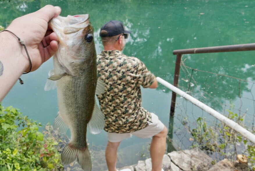 More Photos Of County Road 392, Stephenville Land For Sale