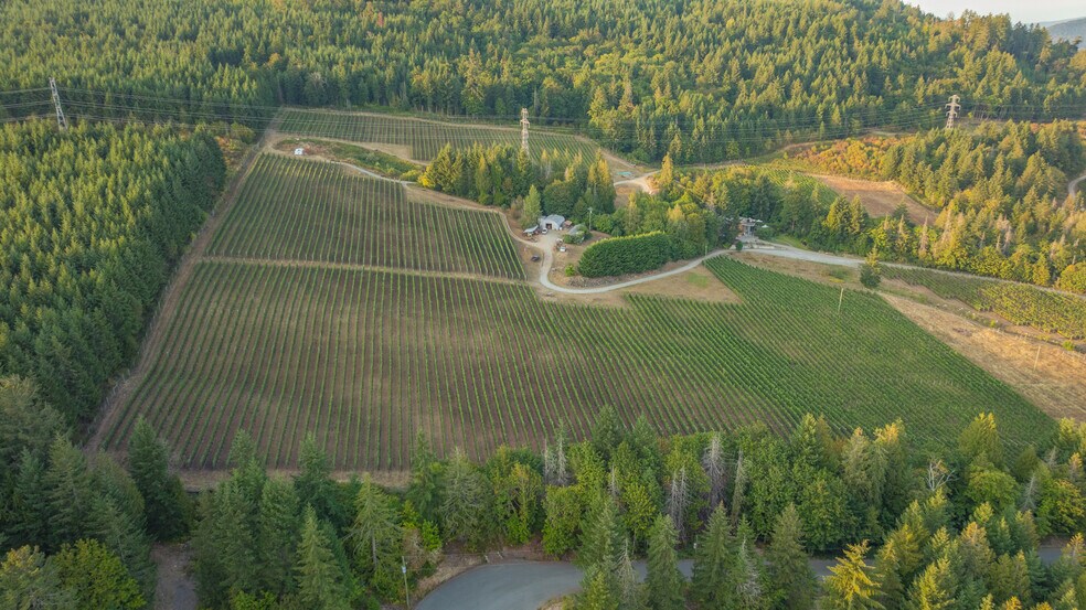 More Photos Of , Duncan Winery Vineyard For Sale