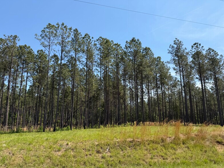 More Photos Of Hidden Harbor Road road, Lincolnton Land For Sale
