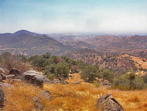 Primary Photo Of 38176 Cardinal, Yokuts Valley Land For Sale