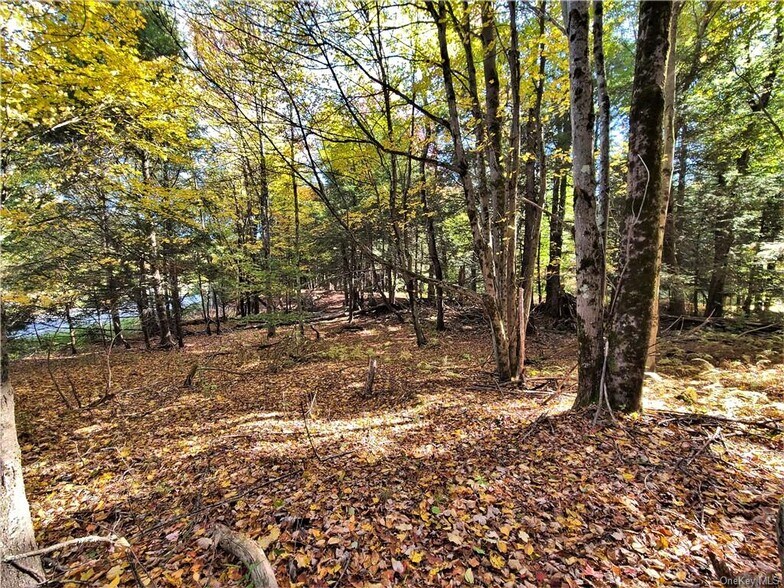 More Photos Of Kaufman Rd, Monticello Land For Sale