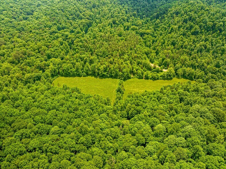 More Photos Of 1945 Pittman Branch Rd, Mount Vernon Land For Sale