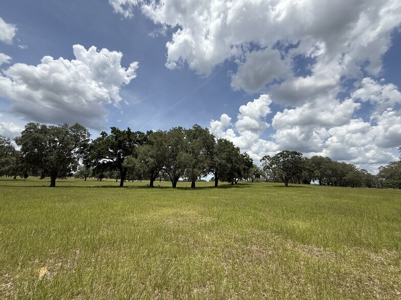 More Photos Of NW 27th St, Dunnellon Land For Sale