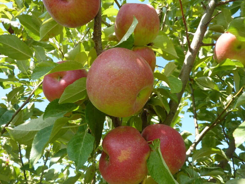 Primary Photo Of 157 Hergenrider Rd, Bridger Land For Sale