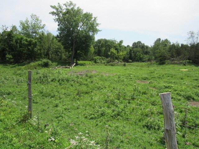 More Photos Of County Rt 19, Livingston Land For Sale