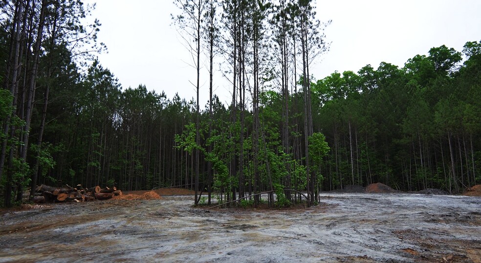 More Photos Of 2680 River Rd, Ellenwood Land For Sale