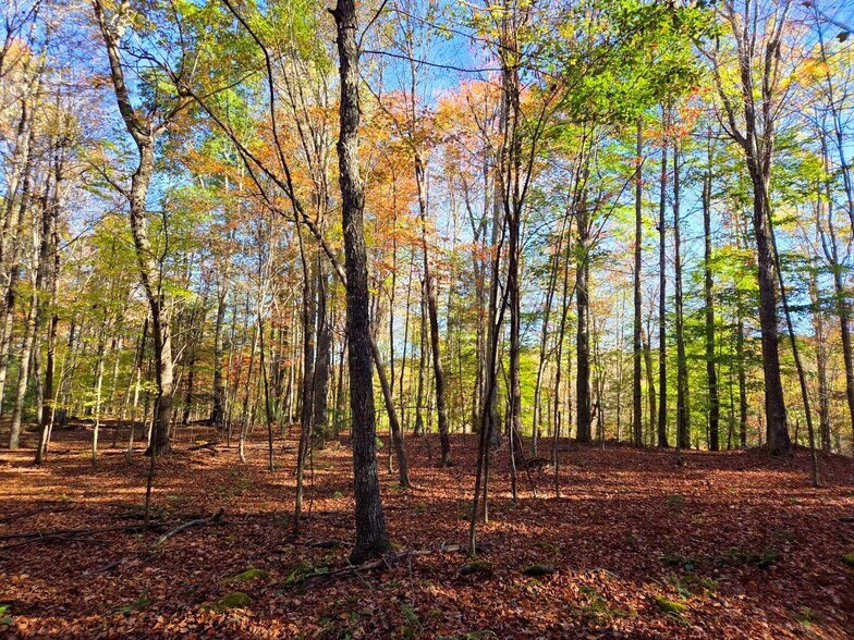 More Photos Of 0 Old Pluto Rd, Shady Spring Land For Sale