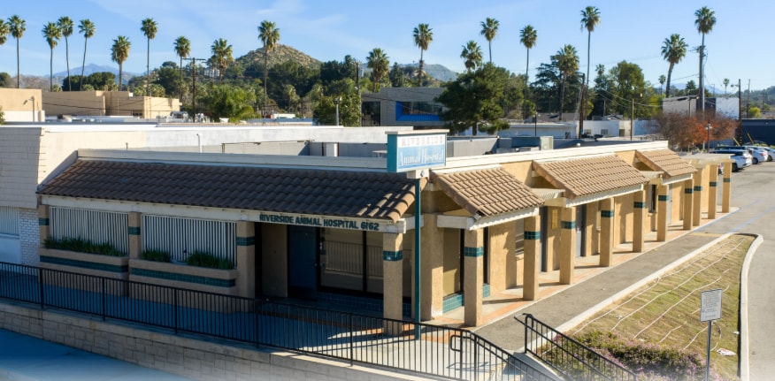 Primary Photo Of 6162 Magnolia Ave, Riverside Veterinarian Kennel For Sale
