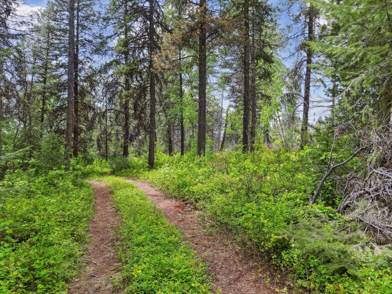 More Photos Of 11315 US Highway 2 E, West Glacier Land For Sale