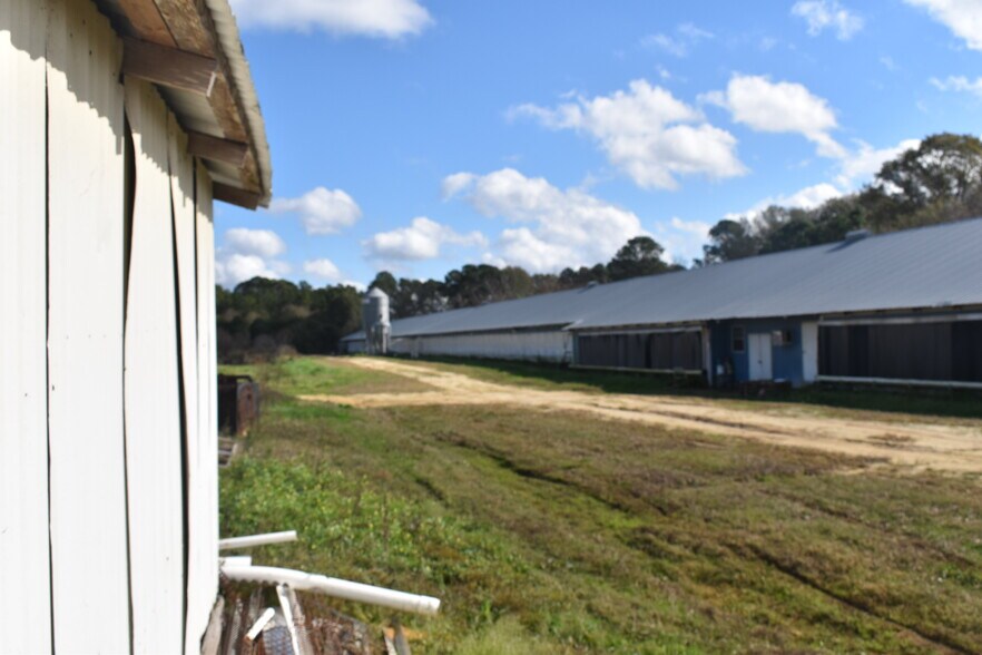 More Photos Of 441 Weaver Rd, Moultrie Land For Sale